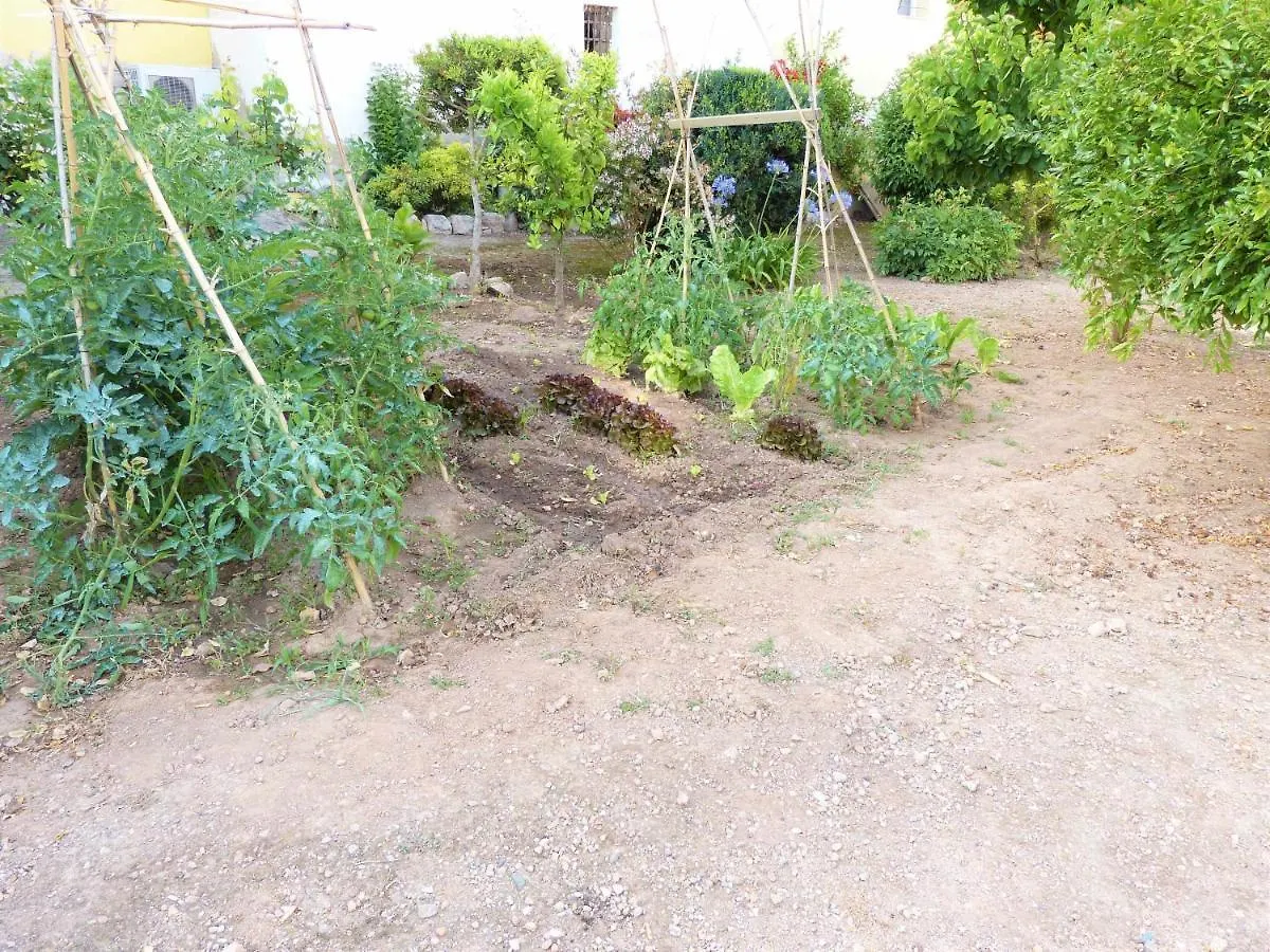 Villa Hort de la Cinteta Alcover España