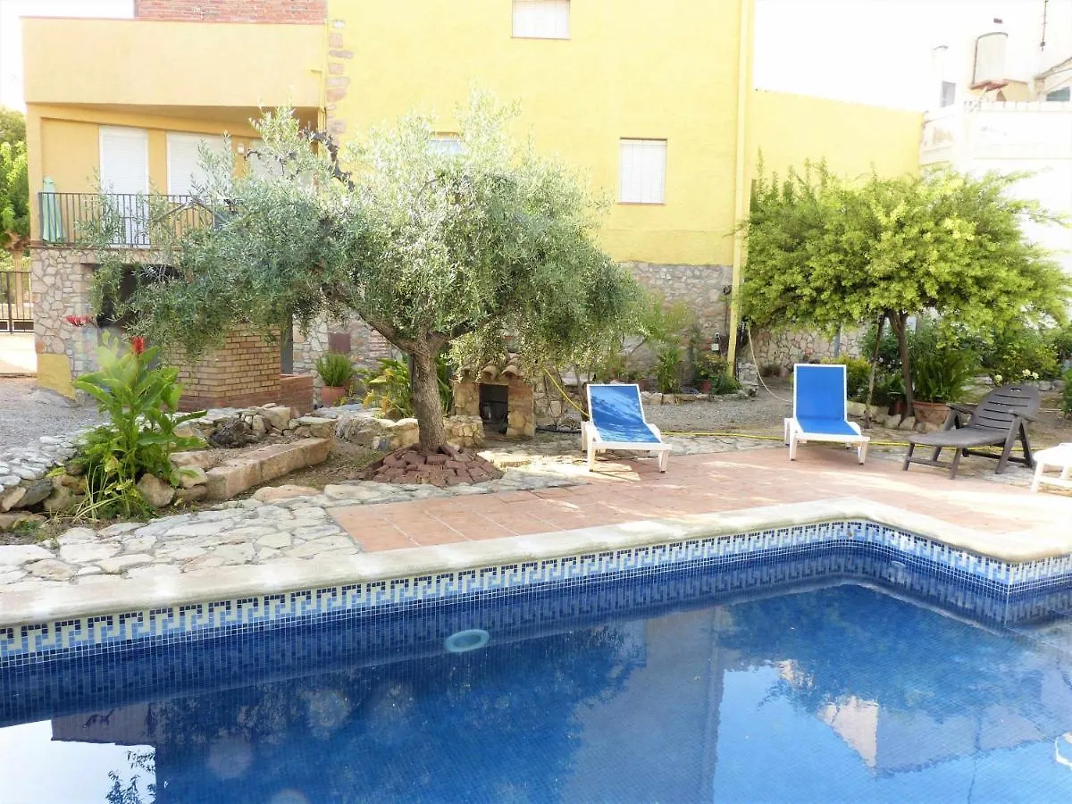 Hort De La Cinteta Villa Alcover
