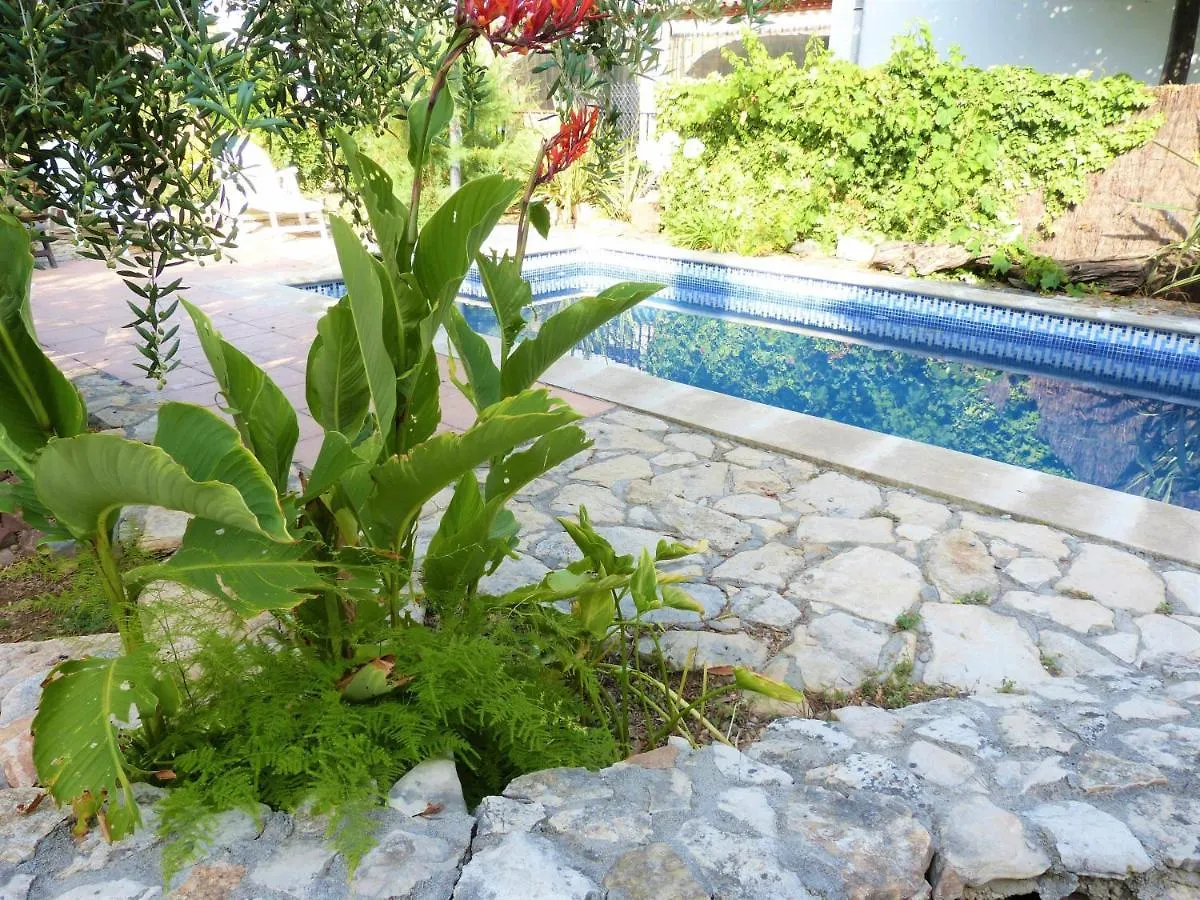 Holiday home Hort De La Cinteta Villa Alcover